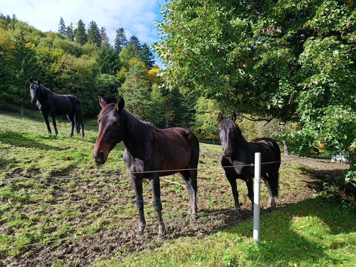 Jizdarna Malenovice Apartment Malenovice  Bagian luar foto