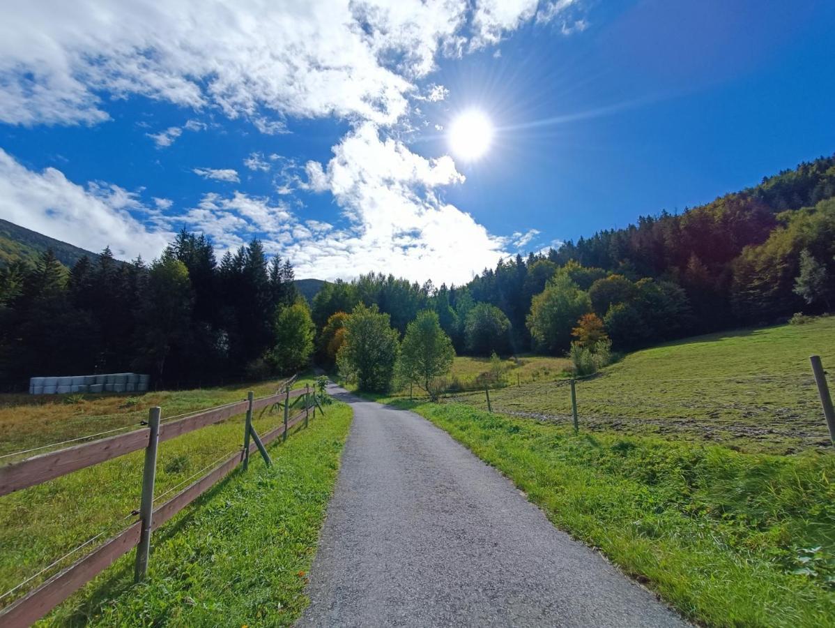 Jizdarna Malenovice Apartment Malenovice  Bagian luar foto